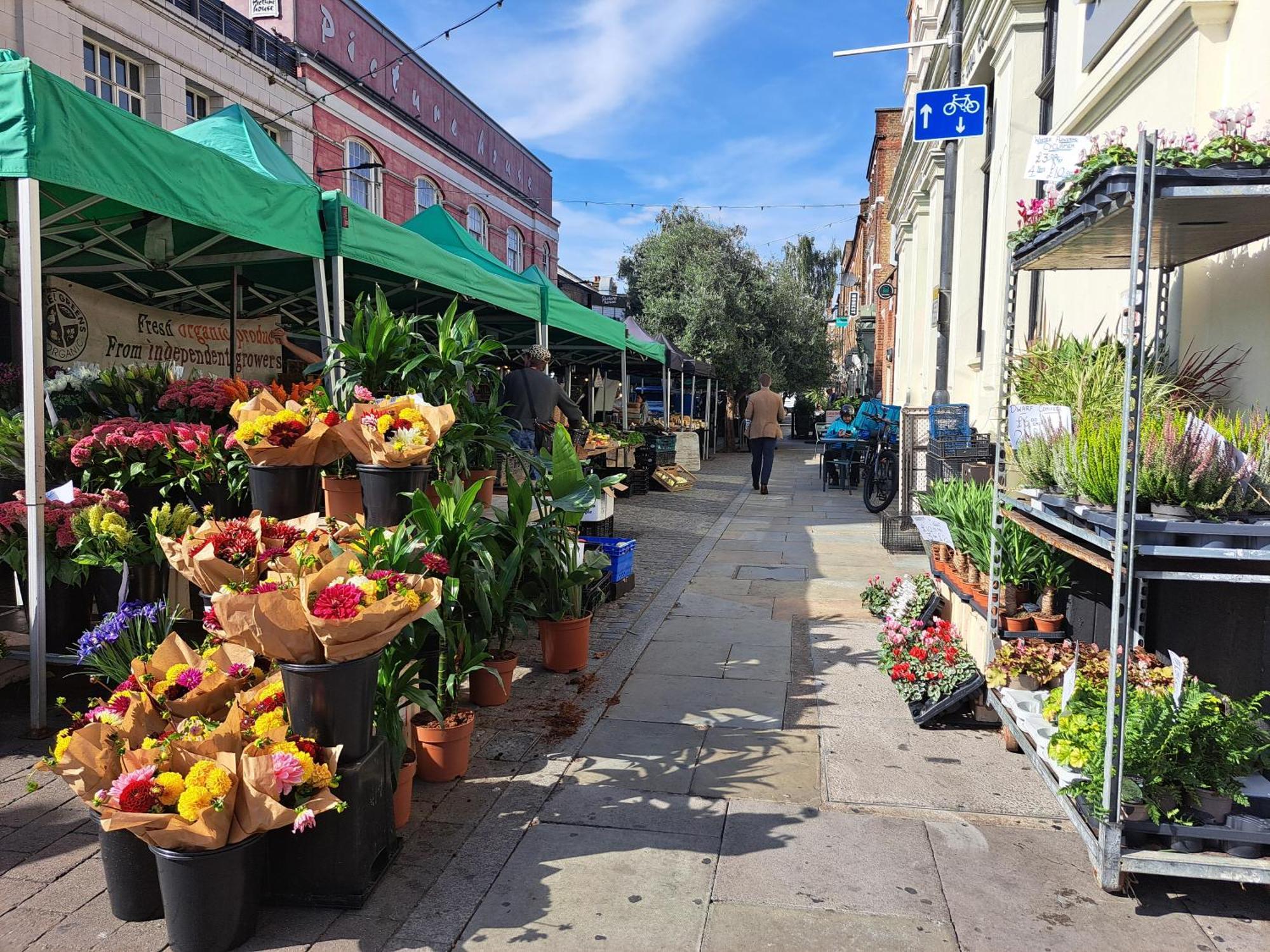 Clapham Serenity Garden Retreat With Free Parking Лондон Екстериор снимка
